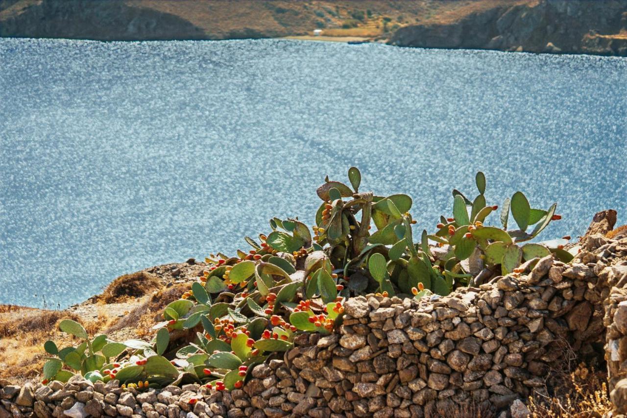 Andromeda Resort Astypalaia Экстерьер фото